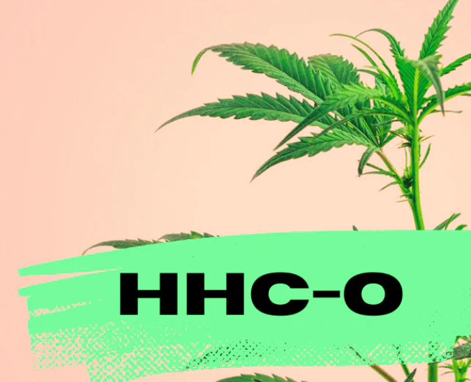 hhco hhc vape thcp hhc o thcp thcjd thch